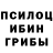 Псилоцибиновые грибы Cubensis _isWhy