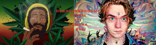 2c-b Лабытнанги