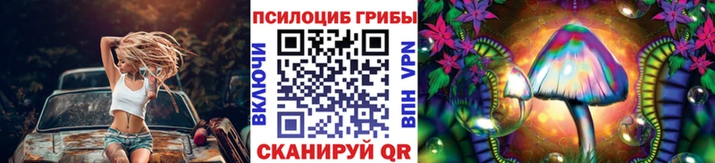 Купить закладки  Тавда  Псилоцибиновые грибы Psilocybe 